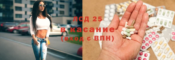 сатива Сосновый Бор