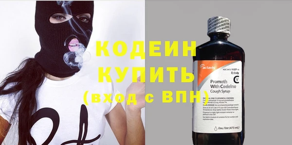 сатива Сосновый Бор
