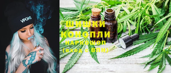 сатива Сосновый Бор