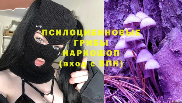сатива Сосновый Бор