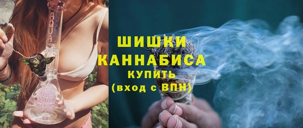 сатива Сосновый Бор